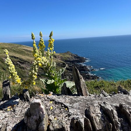 Pilchards Cottage Noss Mayo Exterior foto